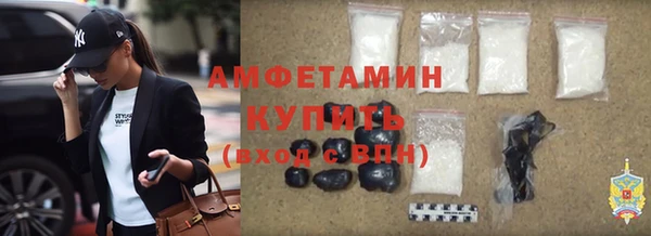 ECSTASY Алзамай