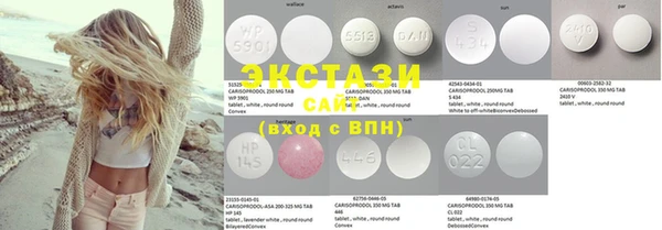 ECSTASY Алзамай