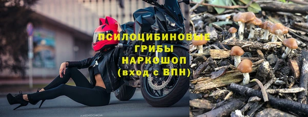 ECSTASY Алзамай