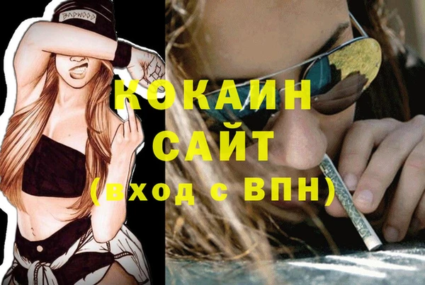ECSTASY Алзамай