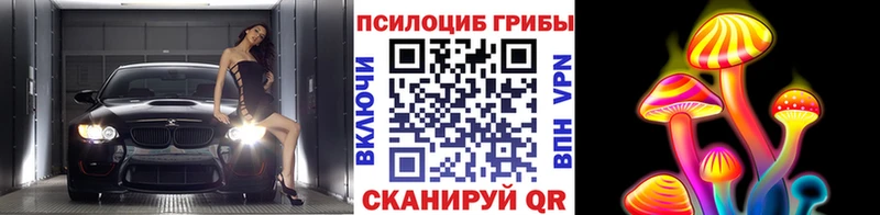 даркнет сайт  Обоянь  Галлюциногенные грибы прущие грибы 